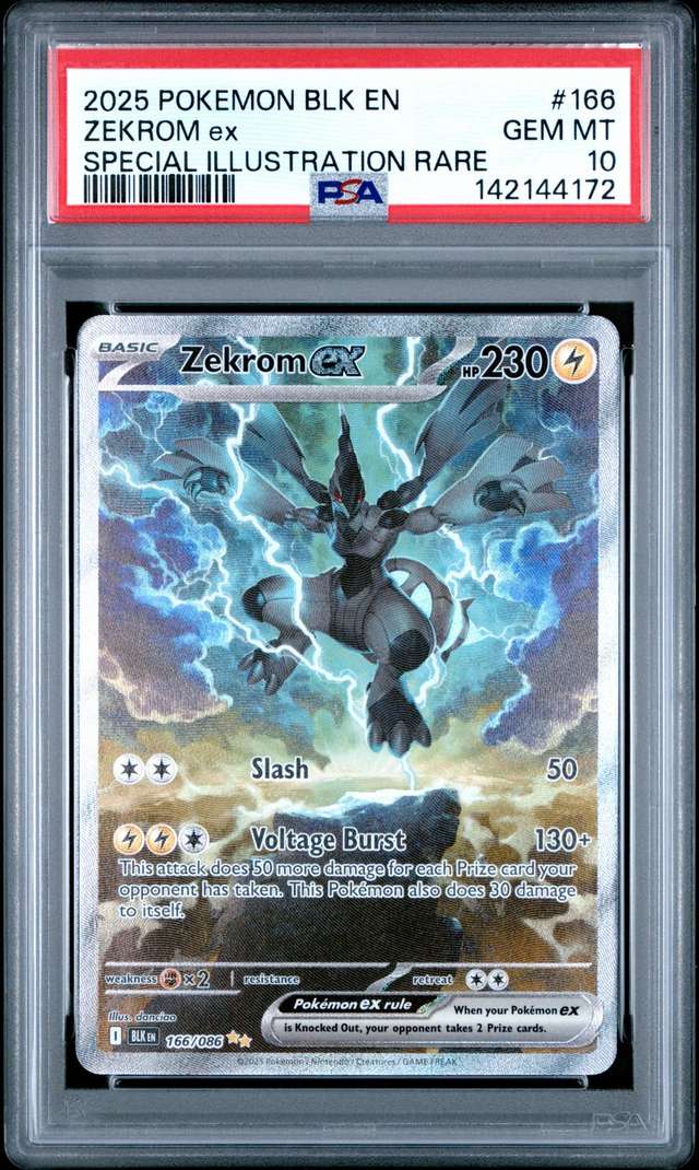 ZEKROM ex