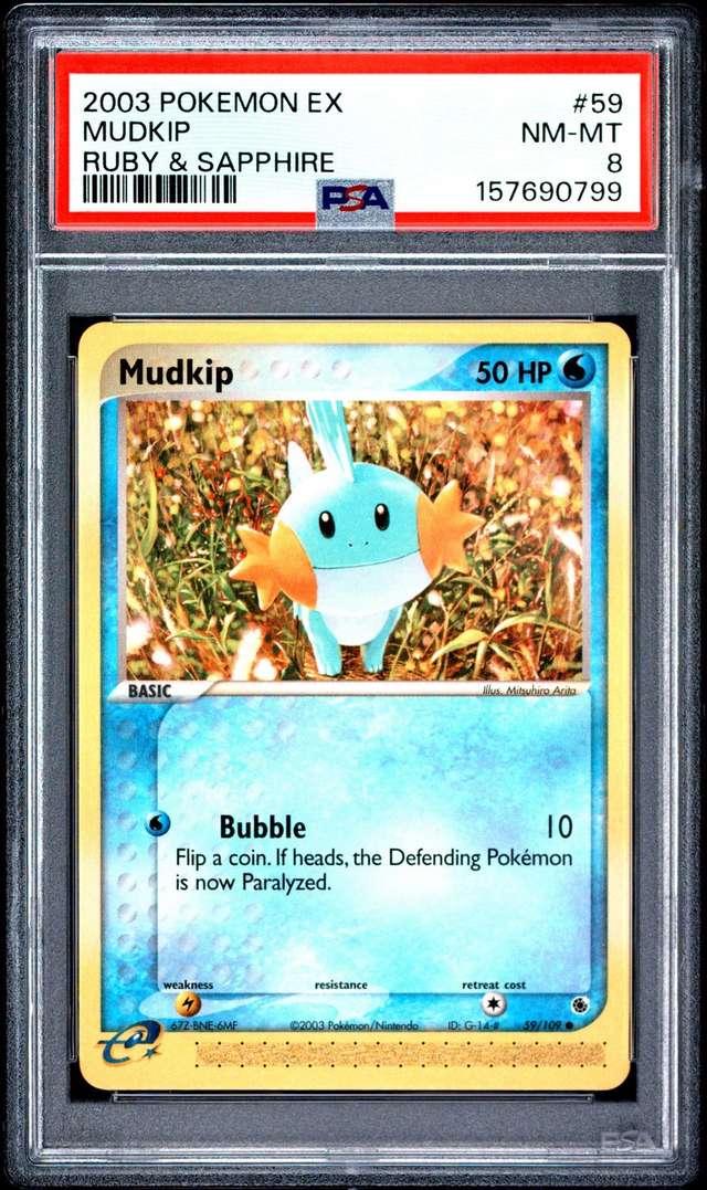 MUDKIP