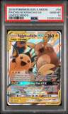 Raichu & Alolan Raichu Gx