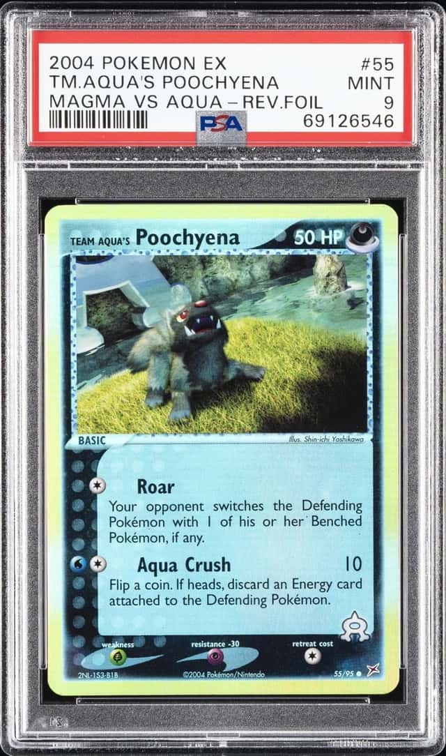 Aqua's Poochyena