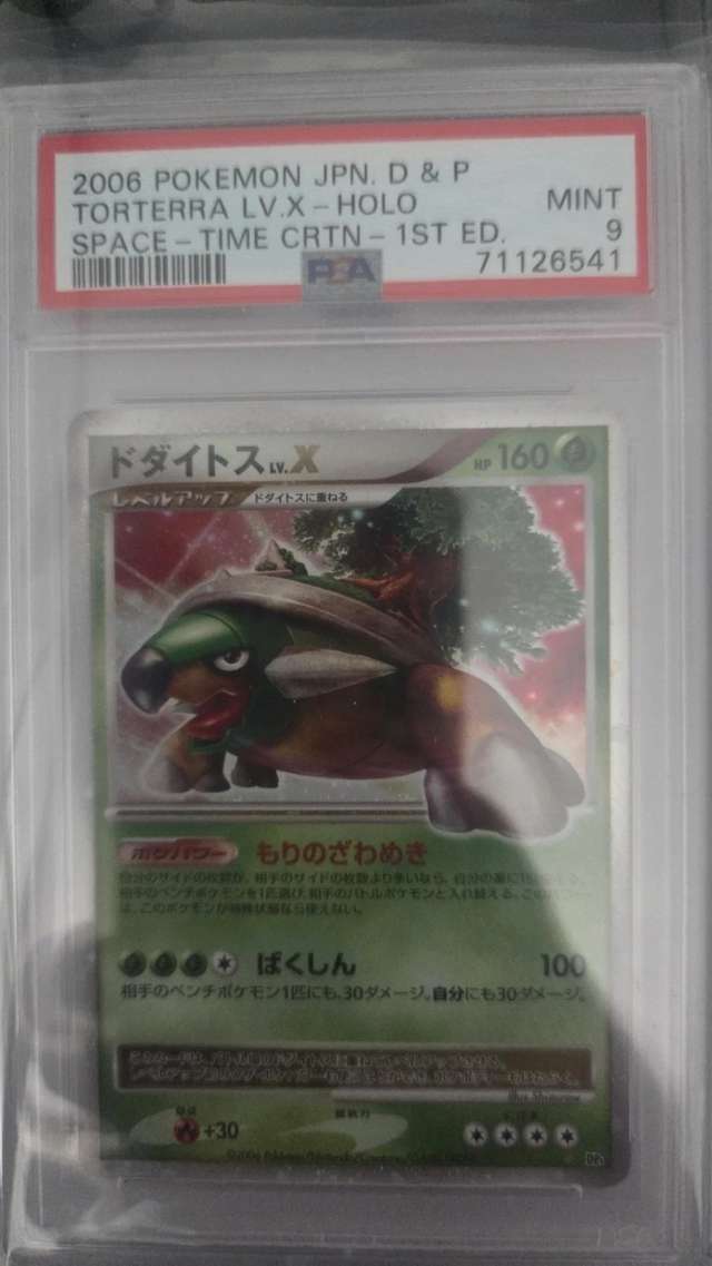 TORTERRA LV.X