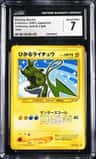 Shining Raichu