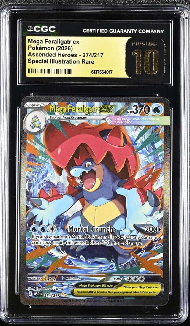 MEGA FERALIGATR ex