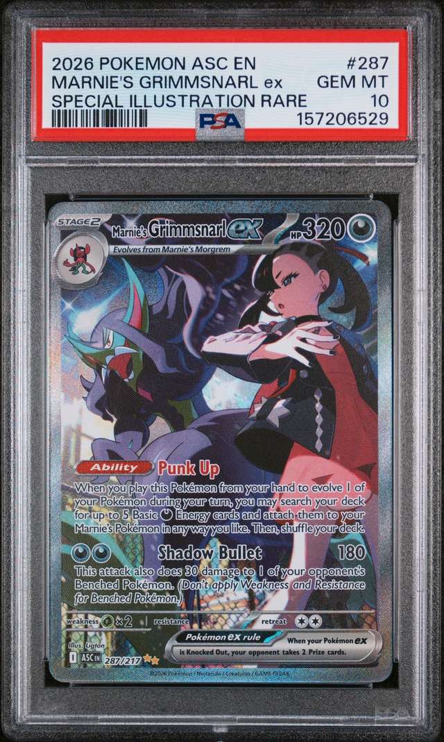 MARNIE'S GRIMMSNARL ex