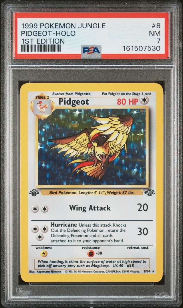 PIDGEOT