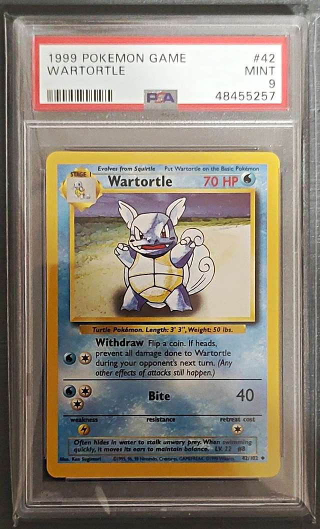 WARTORTLE