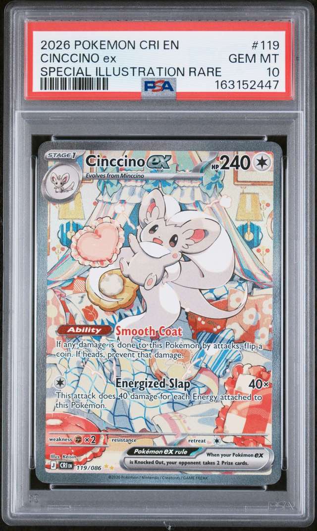 CINCCINO ex