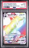 Salamence Vmax