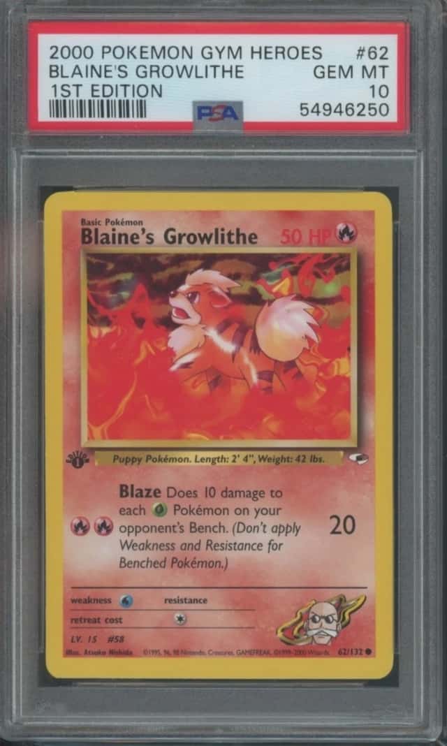 Blaine's Growlithe