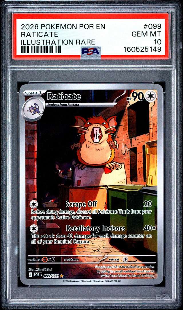 Raticate