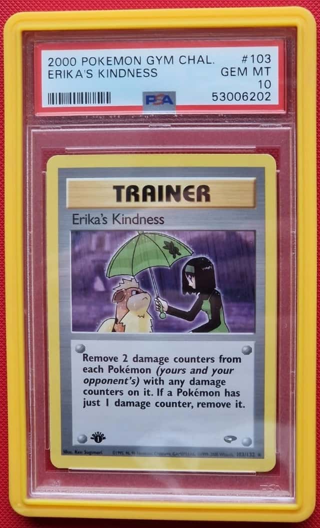 ERIKA'S KINDNESS