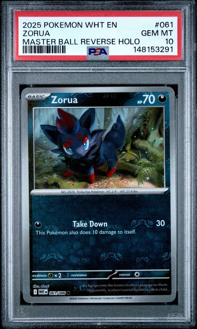 Zorua