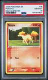 Ponyta