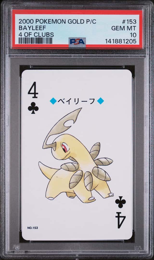 Bayleef