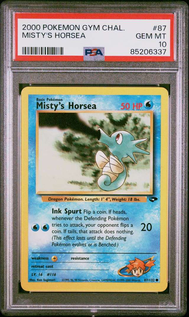 MISTY'S HORSEA