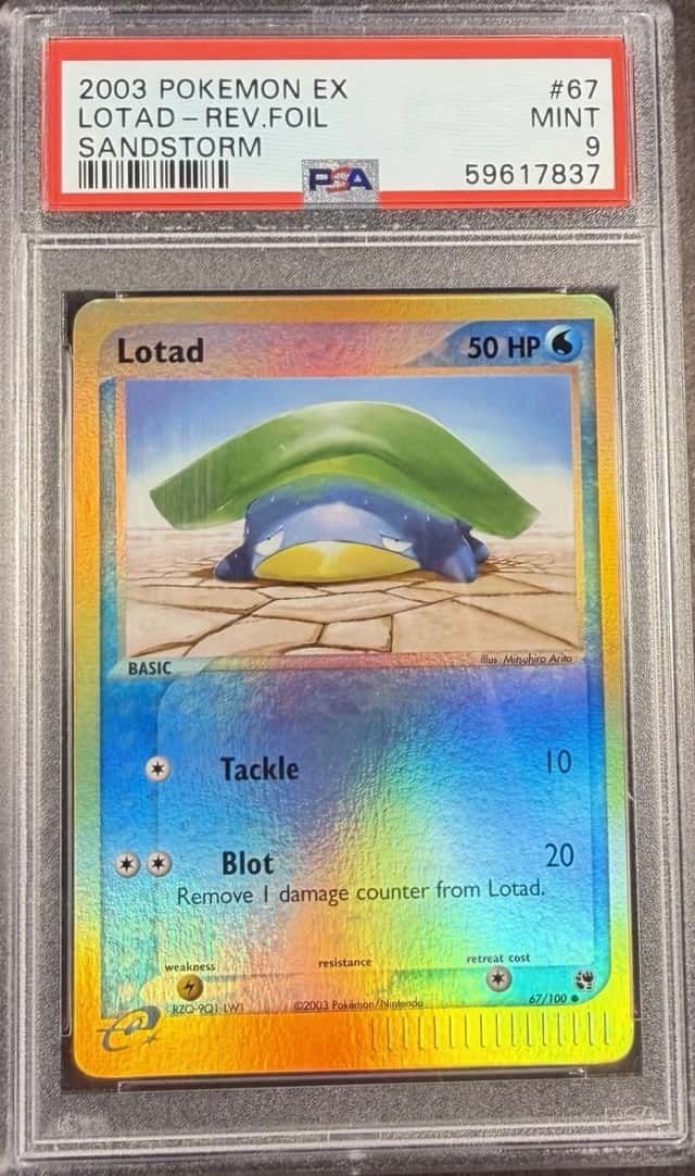 Lotad