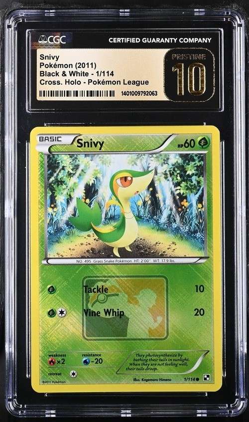 Snivy