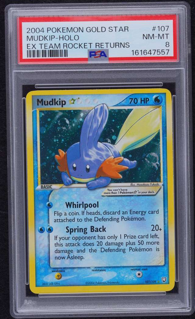 Mudkip