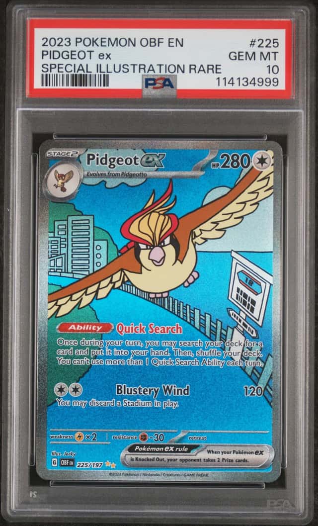 PIDGEOT ex