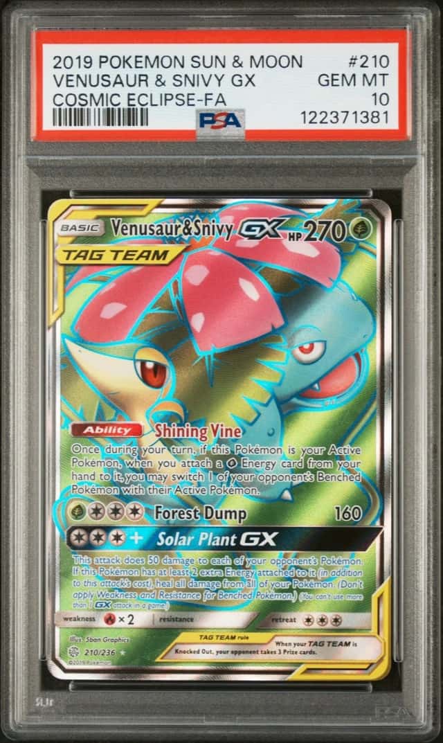 Venusaur & Snivy GX