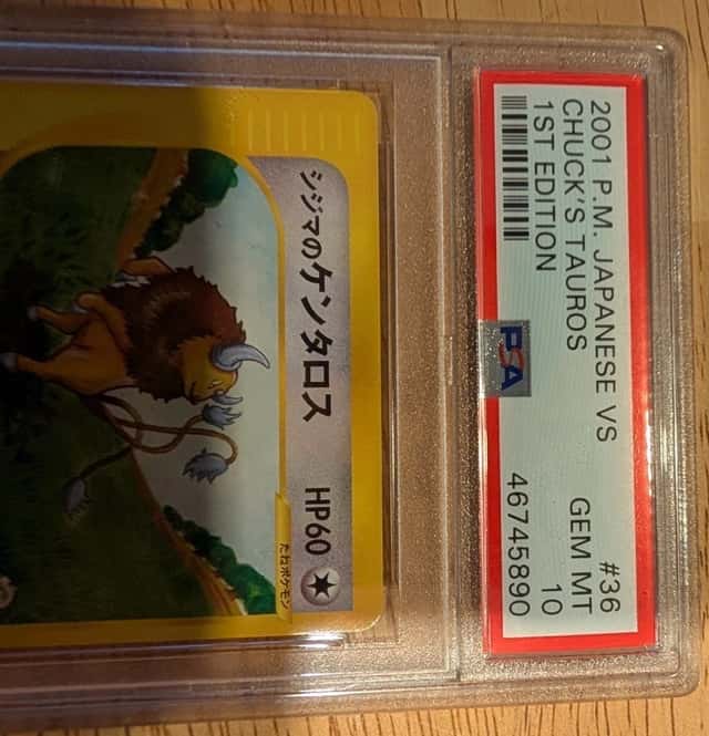 Chuck's Tauros