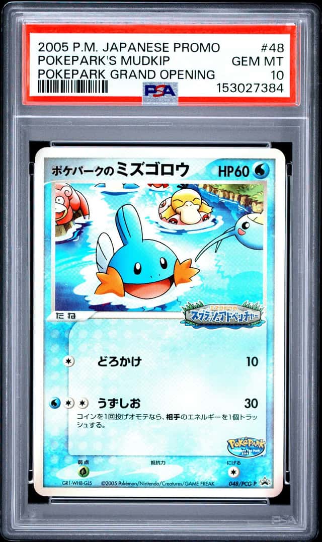 Pokepark's Mudkip