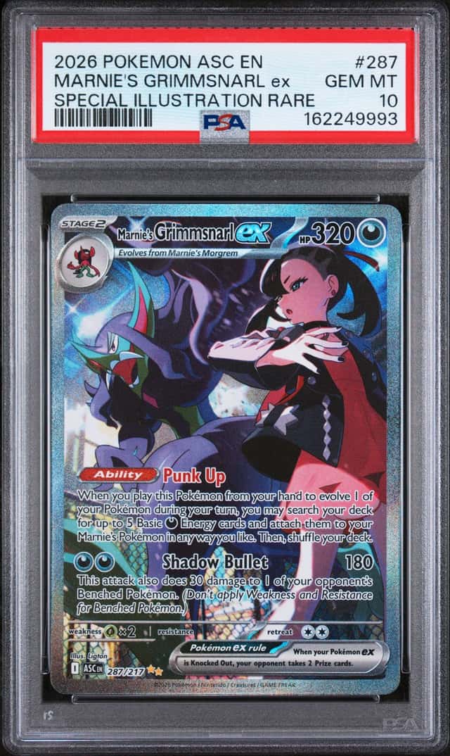 MARNIE'S GRIMMSNARL ex