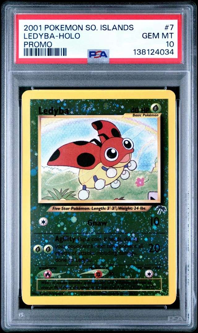 Ledyba