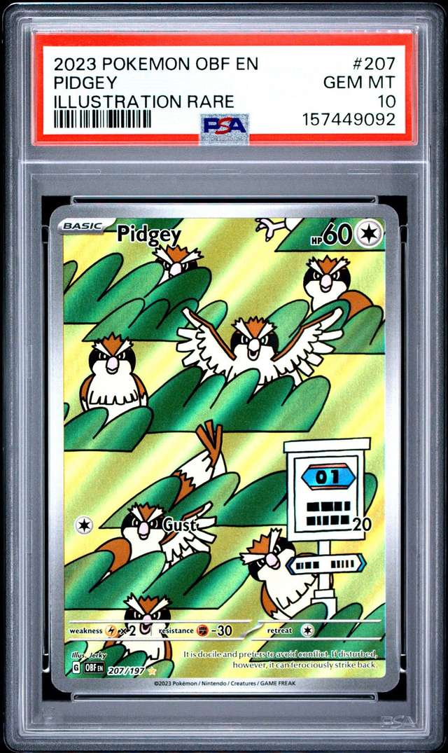 PIDGEY