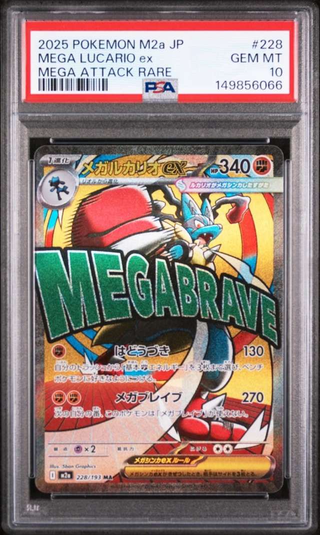 MEGA LUCARIO ex