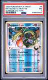 Rayquaza C