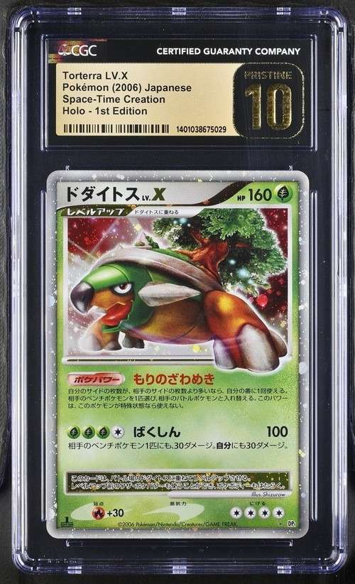 TORTERRA LV.X