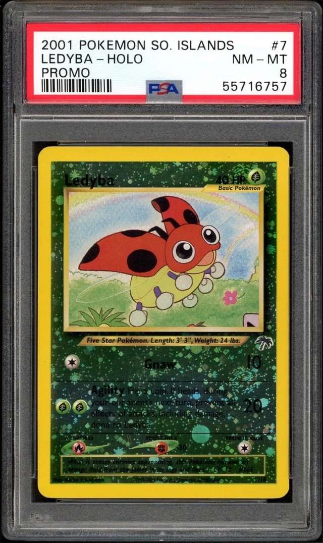 Ledyba