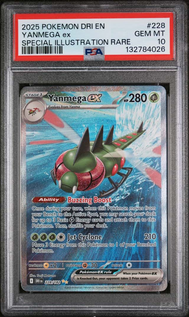 YANMEGA ex