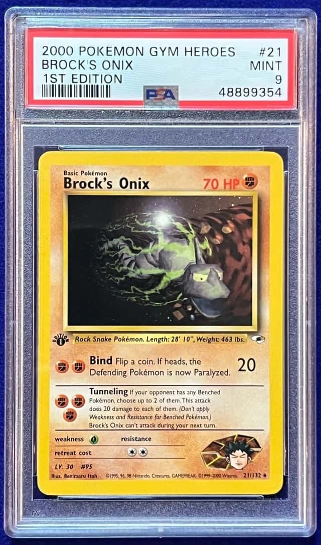 Brock's Onix