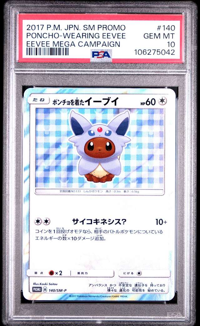 Poncho-Wearing Eevee