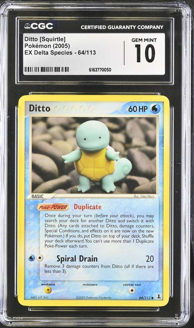 Ditto [Squirtle]