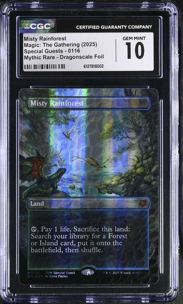 Misty Rainforest
