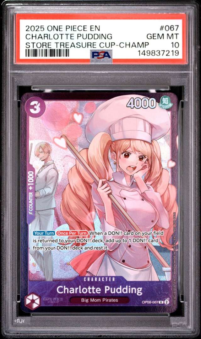 Charlotte Pudding
