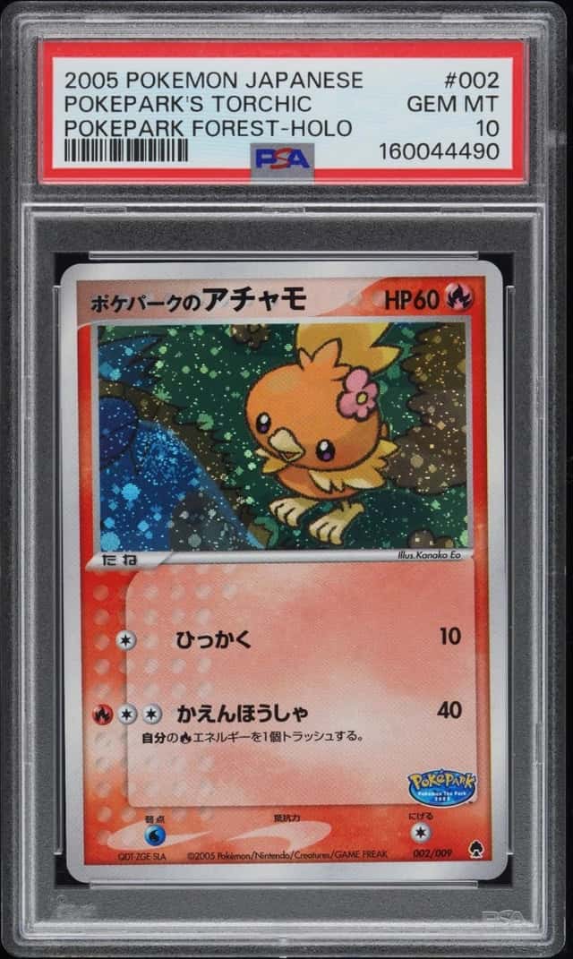 Pokepark's Torchic