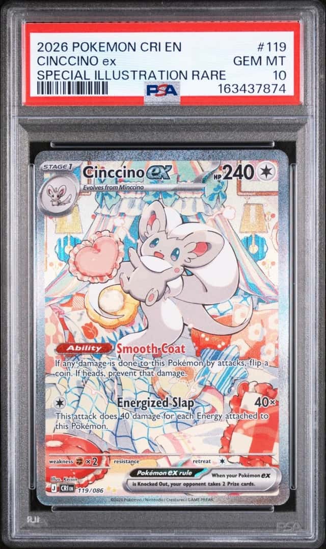 CINCCINO ex
