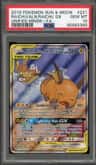 Raichu & Alolan Raichu Gx