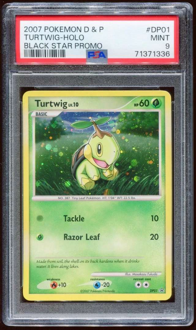 Turtwig
