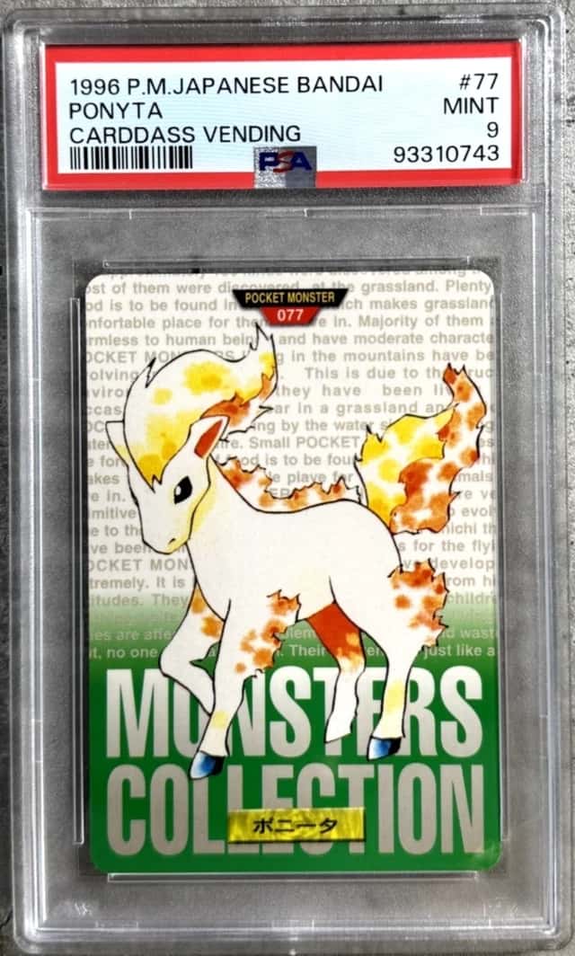 Ponyta