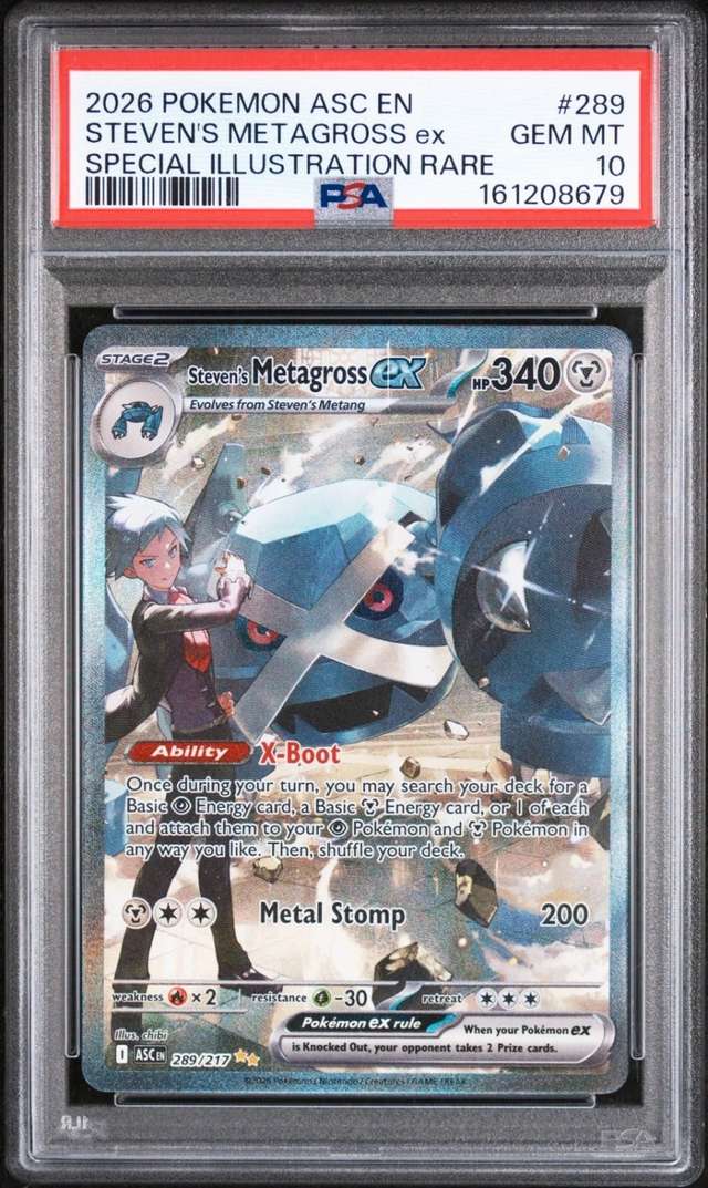 STEVEN'S METAGROSS ex