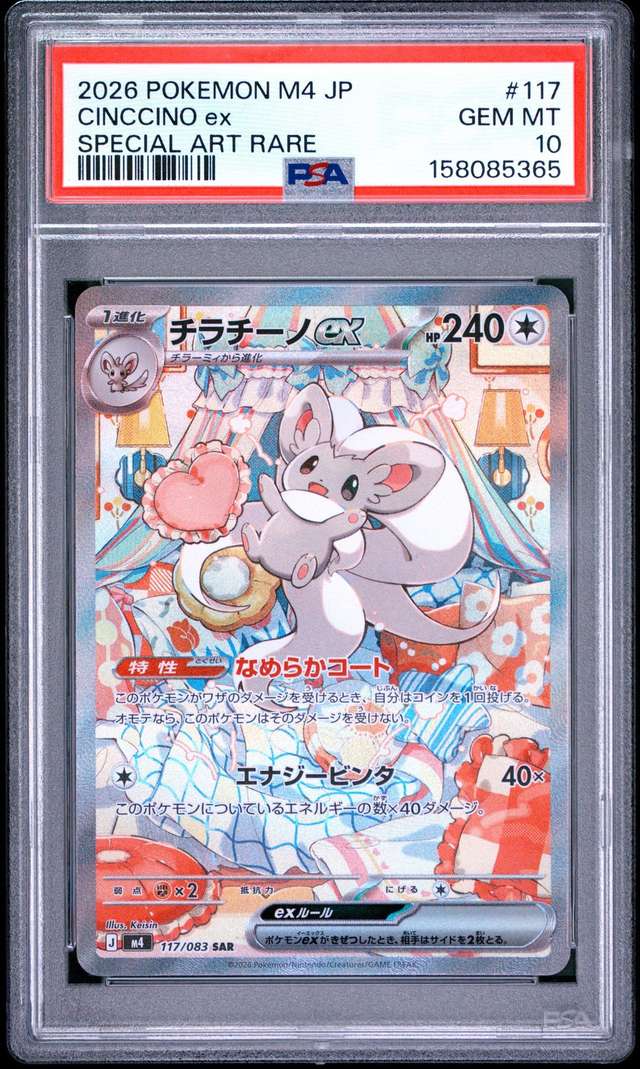 CINCCINO ex