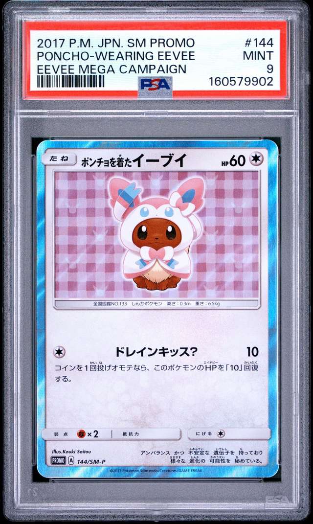 Poncho-Wearing Eevee