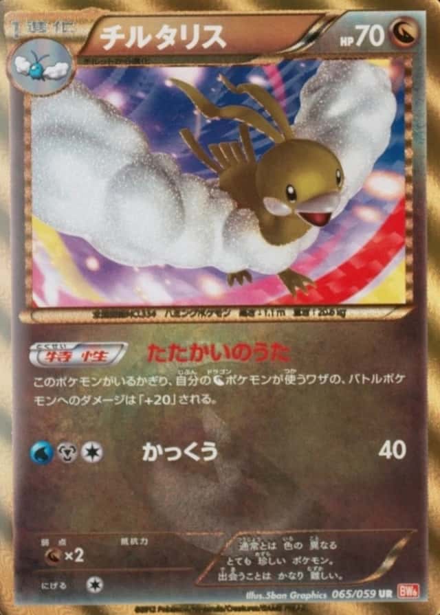 Holo