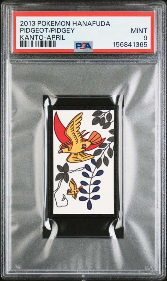 Pidgeot/Pidgey