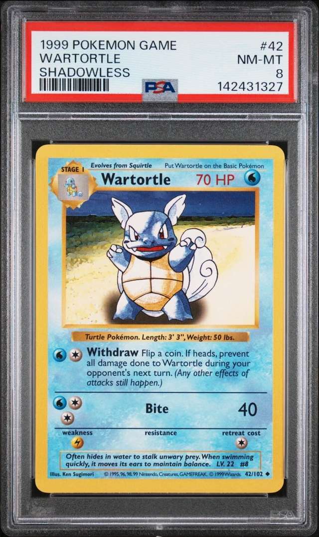 WARTORTLE